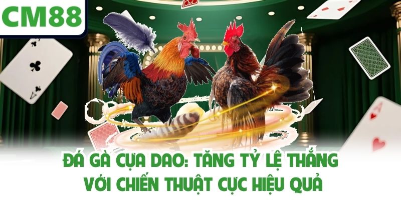 Đá Gà Cựa Dao: Tăng Tỷ Lệ Thắng Với Chiến Thuật Cực Hiệu Qu