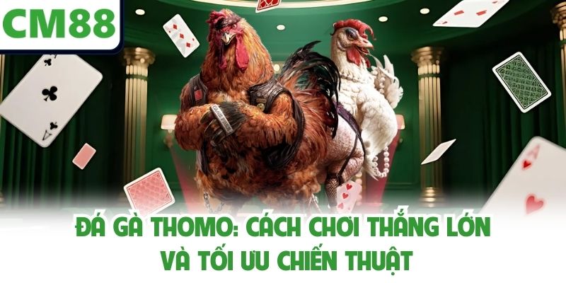 Đá Gà Thomo: Cách Chơi Thắng Lớn Và Tối Ưu Chiến Thuật
