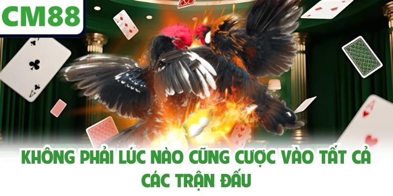 Không phải lúc nào cũng cược vào tất cả các trận đấu