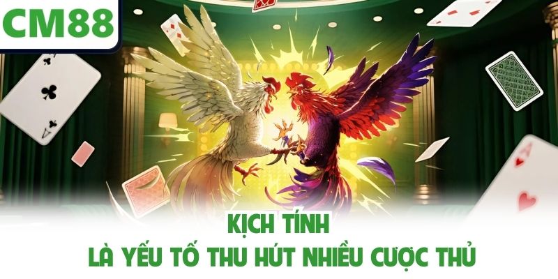 Kịch tính là yếu tố thu hút nhiều cược thủ