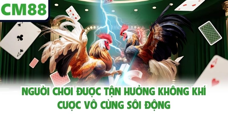 Người chơi được tận hưởng không khí cược vô cùng sôi động